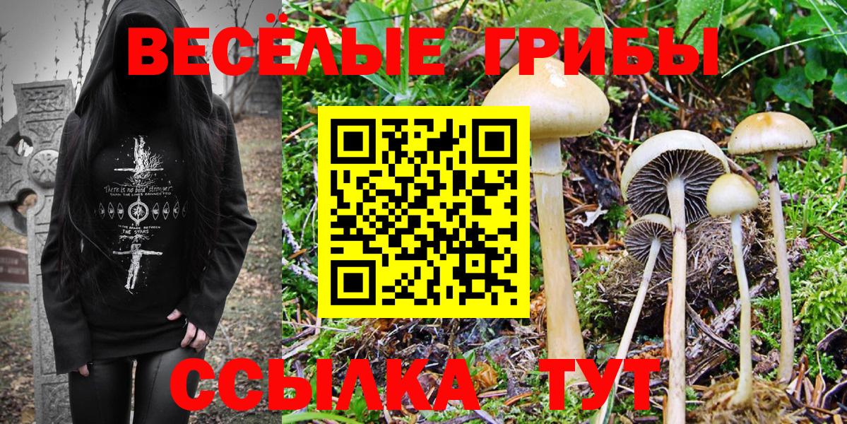Галлюциногенные грибы GOLDEN TEACHER  Галлюциногенные грибы Magic Shrooms  Нижний Новгород  Вход с VPN 