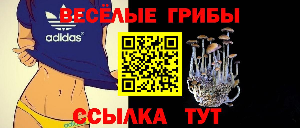 Галлюциногенные грибы Psilocybe Нижний Новгород